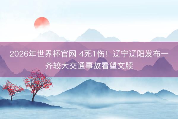 2026年世界杯官网 4死1伤！辽宁辽阳发布一齐较大交通事故看望文牍
