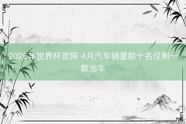 2026年世界杯官网 4月汽车销量前十名仅剩一款油车