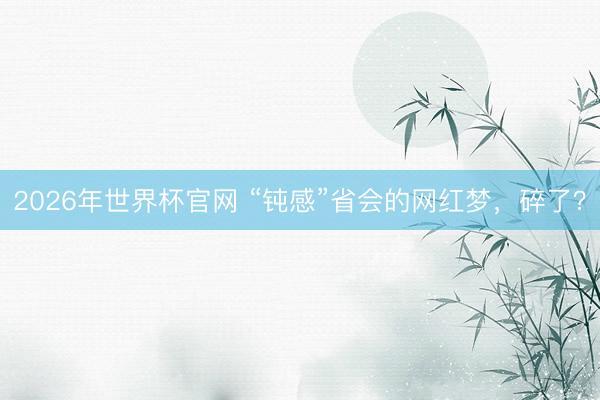 2026年世界杯官网 “钝感”省会的网红梦，碎了？