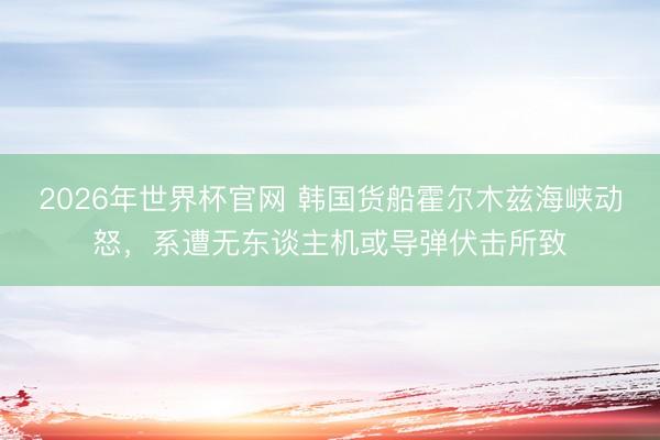 2026年世界杯官网 韩国货船霍尔木兹海峡动怒，系遭无东谈主机或导弹伏击所致