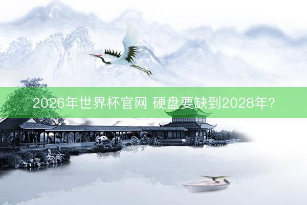 2026年世界杯官网 硬盘要缺到2028年?