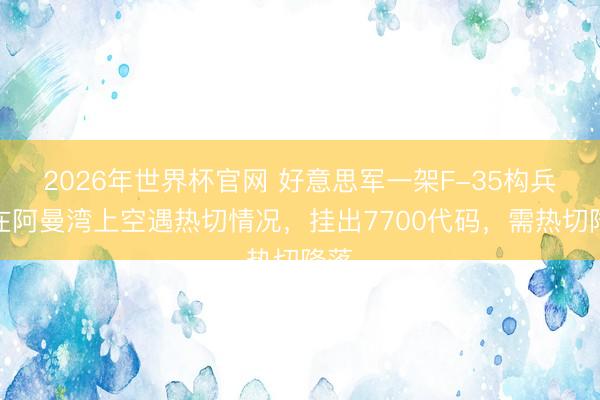 2026年世界杯官网 好意思军一架F-35构兵机在阿曼湾上空遇热切情况，挂出7700代码，需热切降落