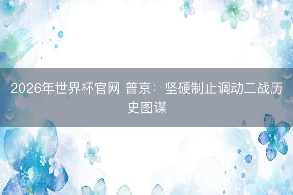2026年世界杯官网 普京：坚硬制止调动二战历史图谋