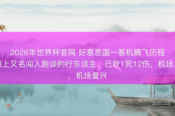 2026年世界杯官网 好意思国一客机腾飞历程中撞上又名闯入跑谈的行东谈主，已致1死12伤，机场复兴