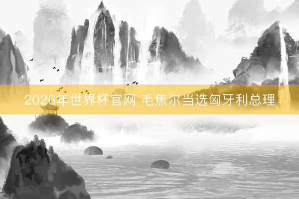 2026年世界杯官网 毛焦尔当选匈牙利总理