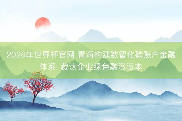 2026年世界杯官网 青海构建数智化碳账户金融体系: 裁汰企业绿色融资资本