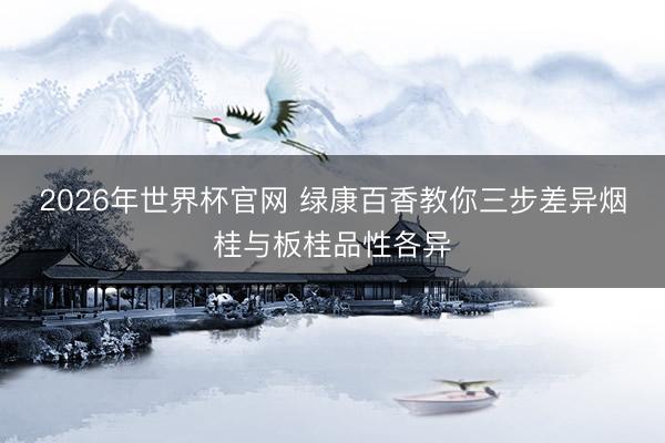 2026年世界杯官网 绿康百香教你三步差异烟桂与板桂品性各异