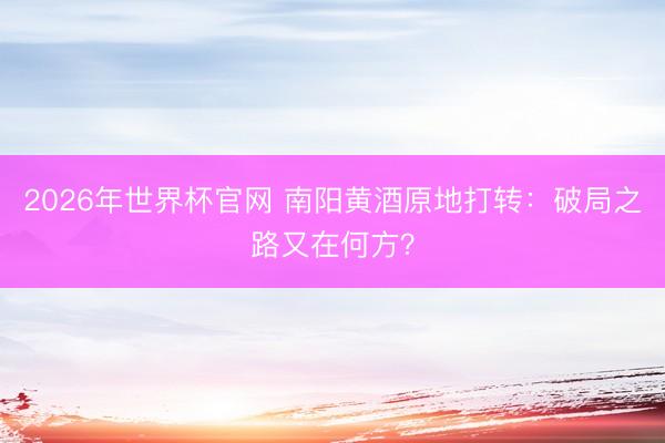 2026年世界杯官网 南阳黄酒原地打转：破局之路又在何方？