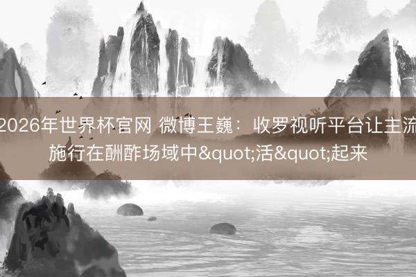 2026年世界杯官网 微博王巍：收罗视听平台让主流施行在酬酢场域中"活"起来