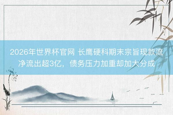 2026年世界杯官网 长鹰硬科期末宗旨现款流净流出超3亿，债务压力加重却加大分成