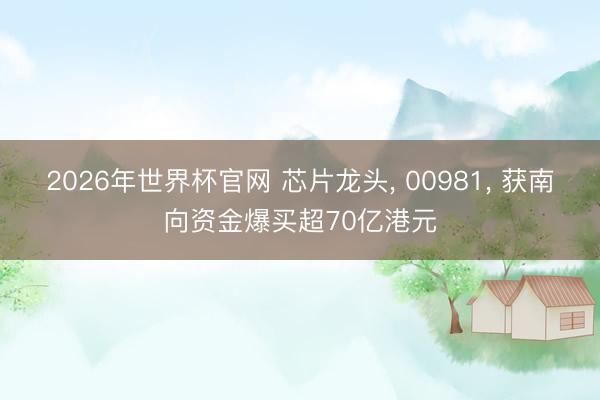 2026年世界杯官网 芯片龙头， 00981， 获南向资金爆买超70亿港元