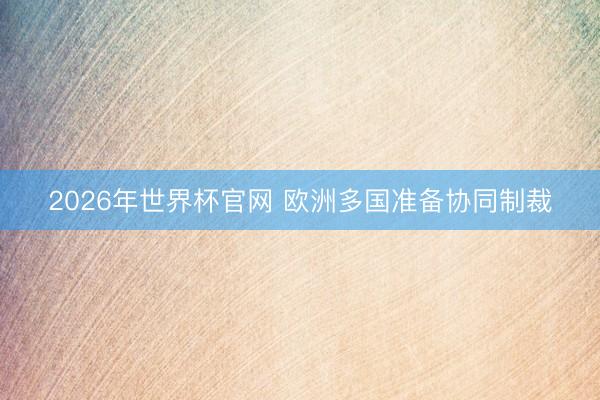 2026年世界杯官网 欧洲多国准备协同制裁