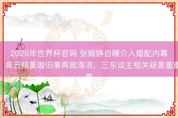 2026年世界杯官网 张婉婷自曝介入婚配内幕！高云翔董璇旧事再掀海浪，三东谈主相关疑窦重重