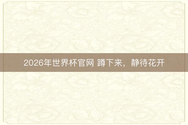 2026年世界杯官网 蹲下来，静待花开
