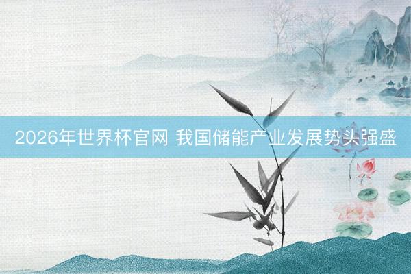 2026年世界杯官网 我国储能产业发展势头强盛