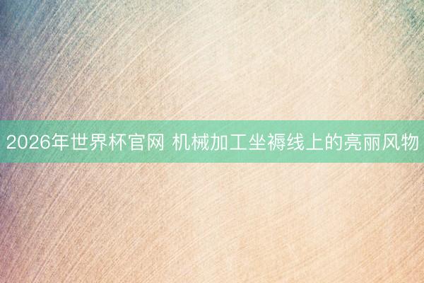 2026年世界杯官网 机械加工坐褥线上的亮丽风物